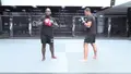 Creating KO's by Melvin Manhoef image 5