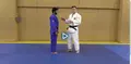 Powerful Judo by Mihael Zgank image 4