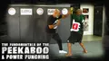 The Fundamentals of the Peekaboo & Power Punching by Mike Tyson image 3