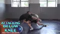Attacking Below The Knee by Mitch Finesilver image 3