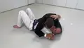 BJJ After 40 by Mike Bidwell image 5