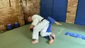 The 3 T's of Judo by Neil Adams image 4