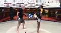 Unpredictable Kicks by Mike Winkeljohn image 5