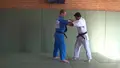 Lightweight Judo by Mohan Bam image 3
