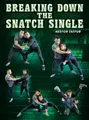 Breaking Down The Snatch Single by Nestor Taffur image 1