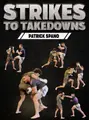 Strikes to Takedowns by Patrick Spano image 1