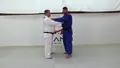 Israeli Ippon Systems by Ori Sasson image 3