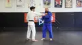 Elite Judo Basics by Nick Tritton image 4