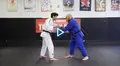 Elite Judo Basics by Nick Tritton image 5