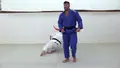 Israeli Ippon Systems by Ori Sasson image 4
