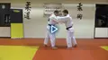 The Dutch Judo Playbook by Noel Van't End image 5