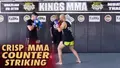 Crisp MMA Counter Striking by Rafael Cordeiro image 3
