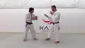 Straight Lapel System For Judo by Peter Paltchik image 3