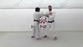 Straight Lapel System For Judo by Peter Paltchik image 4