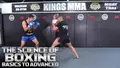 The Science Of Boxing Basics to Advanced by Rafael Cordeiro image 3