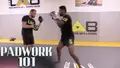 The 4 HR Comprehensive Padwork System by Randy Steinke image 3