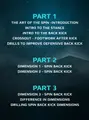 The Art of The Spin Kick Volume 1 by Raymond Daniels image 2