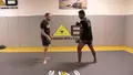 The 4 HR Comprehensive Padwork System by Randy Steinke image 4
