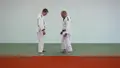 Mastering Tomoe-Nage by Roland Vogt image 4