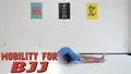 Mobility For BJJ by Ryan Hurst image 3