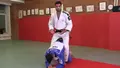 Power Judo by Sagi Muki image 3