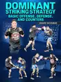 Dominant Striking Strategy by Shawn Yacoubian image 1