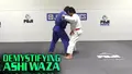 Demystifying Ashi Waza by Shintaro Higashi image 3