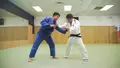 Total Ippon Arsenal by Shinjiro Sasaki image 5