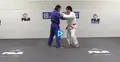 Demystifying Ashi Waza by Shintaro Higashi image 4