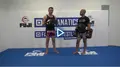 Fundamentals of Functional Striking by Stephen Whittier image 3
