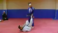 The Pillars: Open Guard Mastery System by Stephen Whittier image 4