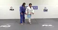 Demystifying Ashi Waza by Shintaro Higashi image 5