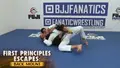 First Principles: Back Mount by Stephen Whittier image 3