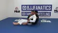 First Principles: Back Mount by Stephen Whittier image 4
