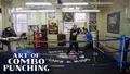Art of Combo Punching by Teddy Atlas image 3