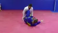 The Pillars: Open Guard Mastery System by Stephen Whittier image 5