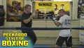 The Peekaboo Style Of Boxing by Teddy Atlas image 3