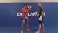 Explosive Striking by Thiago Alves image 4