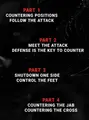 Secrets to Counter Fighting by Trevor Wittman image 2