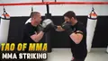 Tao of MMA: MMA Striking by Trevor Wittman and Duane Ludwig image 3