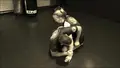 No Gi BJJ Kimura System by Troy Manning image 5