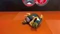 No Gi Brazilian Jiu Jitsu Escaping System by Troy Manning image 4