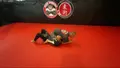 No Gi Brazilian Jiu Jitsu Arm Bar System by Troy Manning image 4