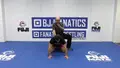 The Art of Pinning by Wade Schalles image 5