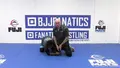 Slicks and Tricks: Wrestling Insights & Innovations by Wade Schalles image 5