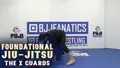 Foundational Jiu Jitsu: The X Guards by Aaron Benzrihem image 3