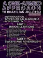 A One-Armed Approach To Brazilian Jiu-JItsu by Aaron Lapointe image 2