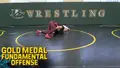 Gold Medal Fundamental Offense by Adeline Gray image 3