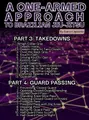 A One-Armed Approach To Brazilian Jiu-JItsu by Aaron Lapointe image 4
