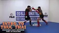 Intro To Thug Tai by AJ Matthews image 3